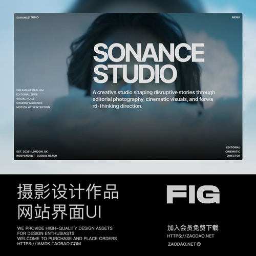 创意视觉冲击摄影设计作品集网站ui界面布局figma/framer模板素材