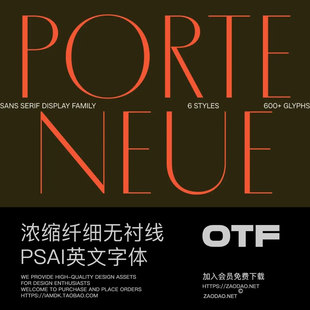 MyFonts 奢华海报品牌标题logo设计浓缩纤细无衬线英文字体 Porte