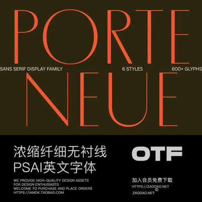 MyFonts 奢华海报品牌标题logo设计浓缩纤细无衬线英文字体 Porte