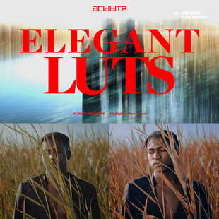 550 高级时尚 浪漫唯美柔光婚礼电影视频风格 化LUT调色预设 款