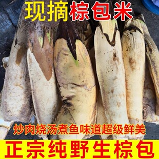 江西于都野生嫩棕包棕苞花棕包米棕笋棕贝包棕芘棕榈树花粽心尾