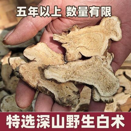 野生老白术中药材正品浙江足龄生白术大片粉野生茯苓药用麸炒白术