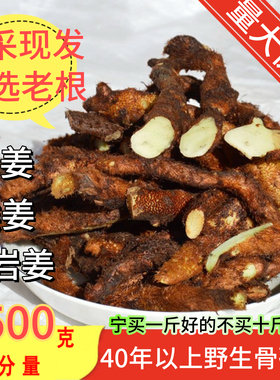 贵州野生新鲜骨碎补爬岩姜新鲜现摘石岩姜接骨猴姜毛姜肉碎补500g