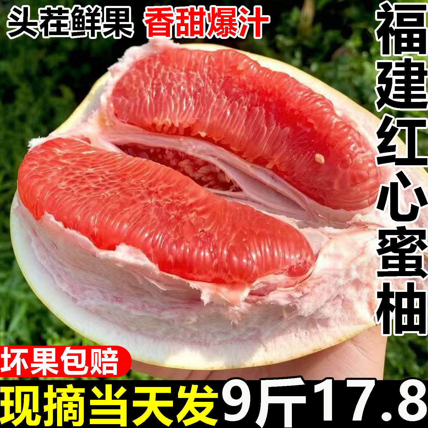 正宗福建平和红心蜜柚