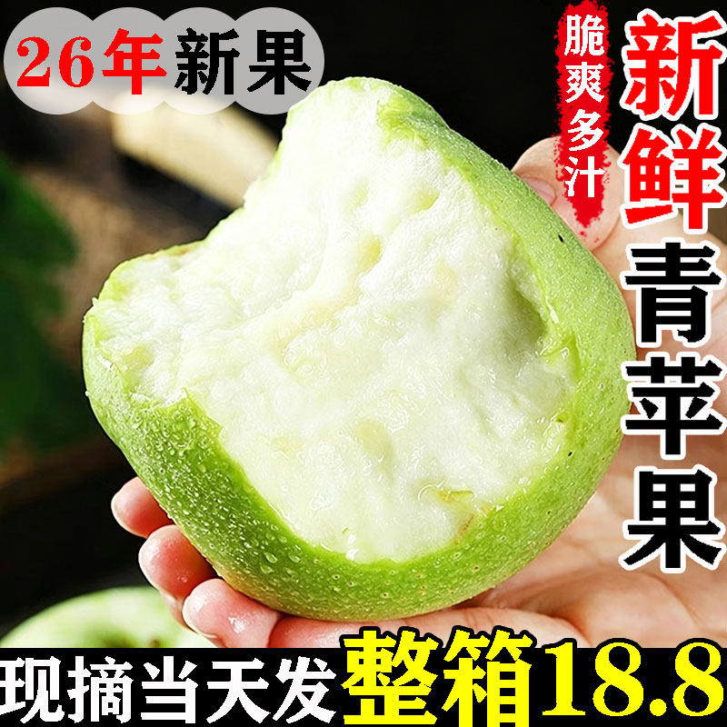 [顺丰]脆爽青苹果当季头茬18.8