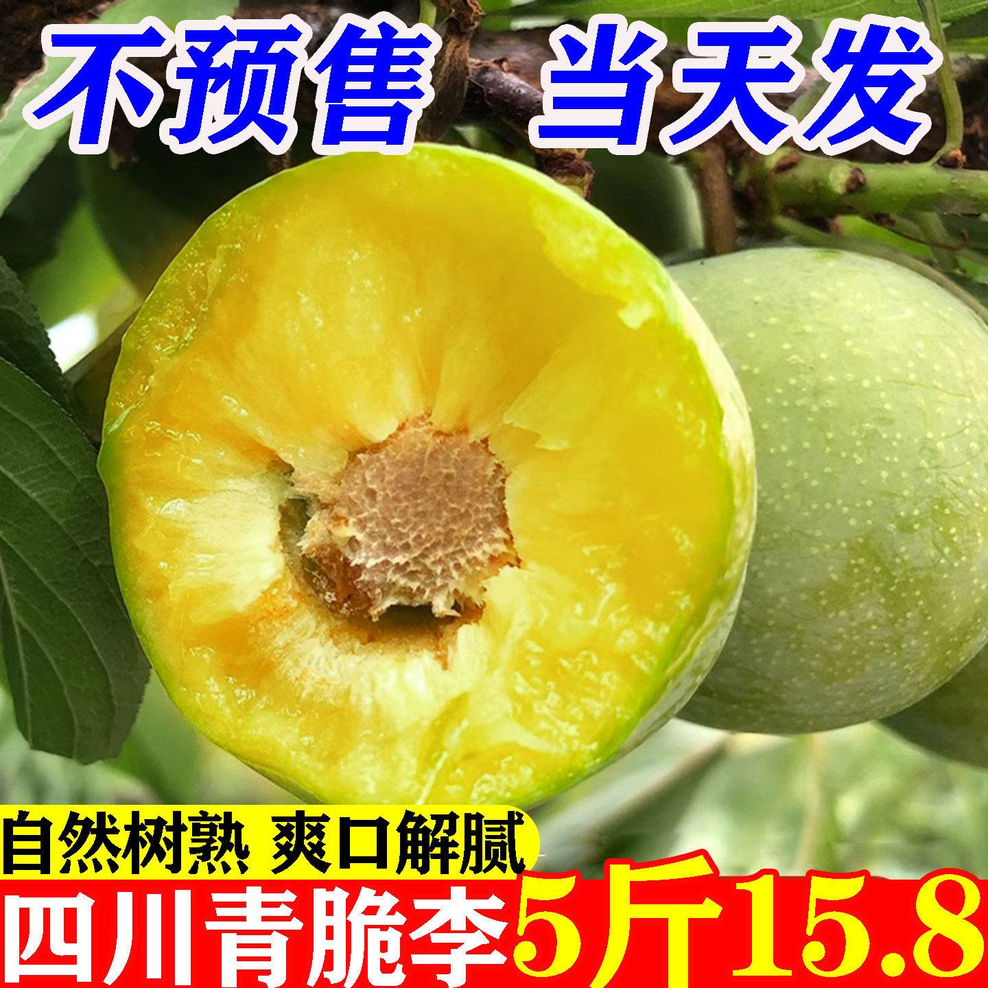 正宗四川青脆李脱骨李子新鲜水果非贵州蜂糖五月脆甜特大5斤早熟