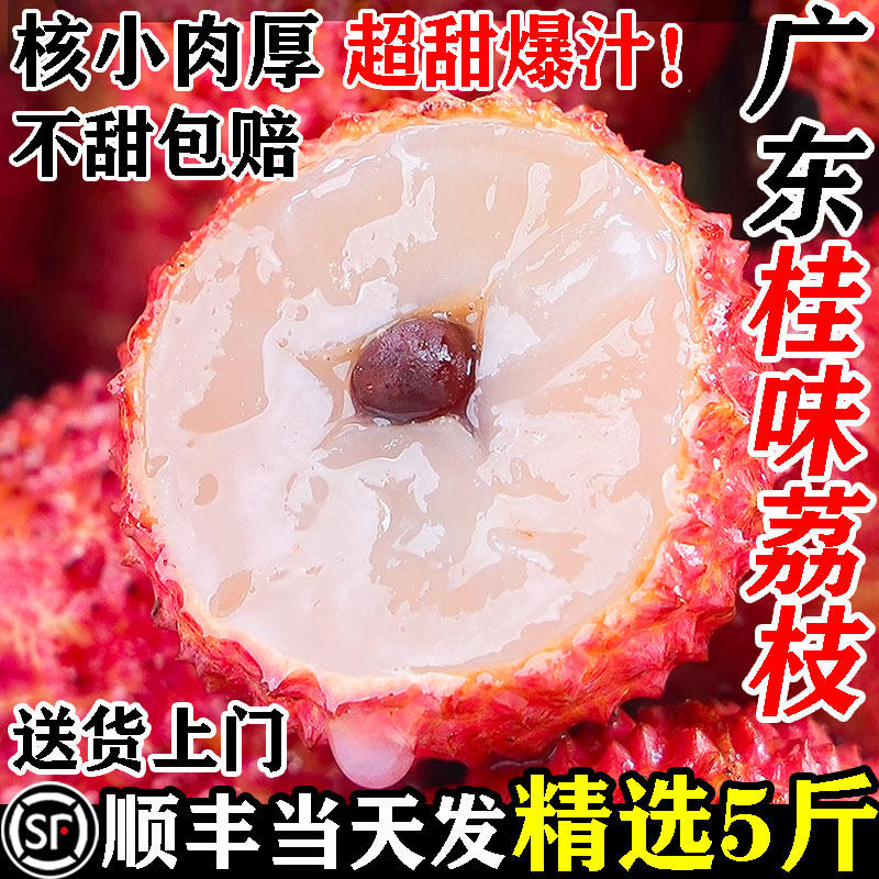 【增城桂味荔枝】顺丰当天发