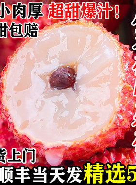 桂味荔枝新鲜现摘现发王仙进糯米奉糍无核巨籽无霸顺丰礼盒次日达