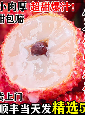【增城桂味荔枝】顺丰当天发