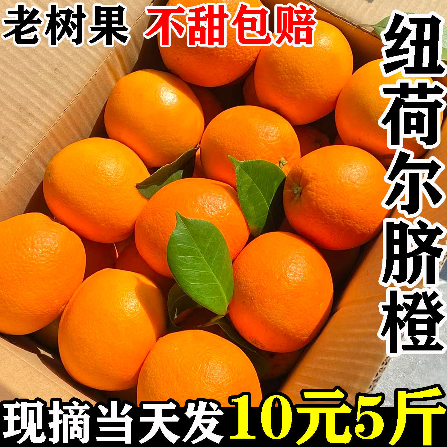 【正宗高山脐橙】超甜爆汁