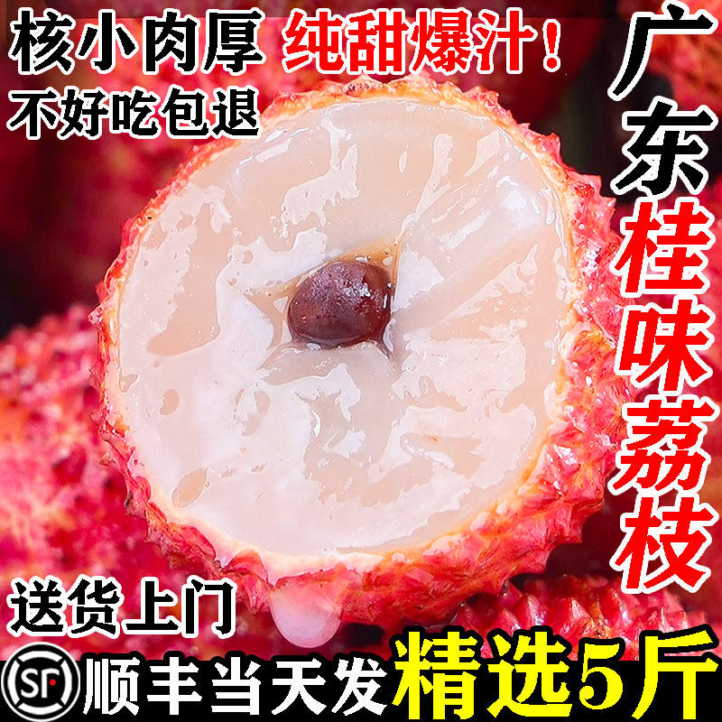【增城桂味荔枝】顺丰当天发