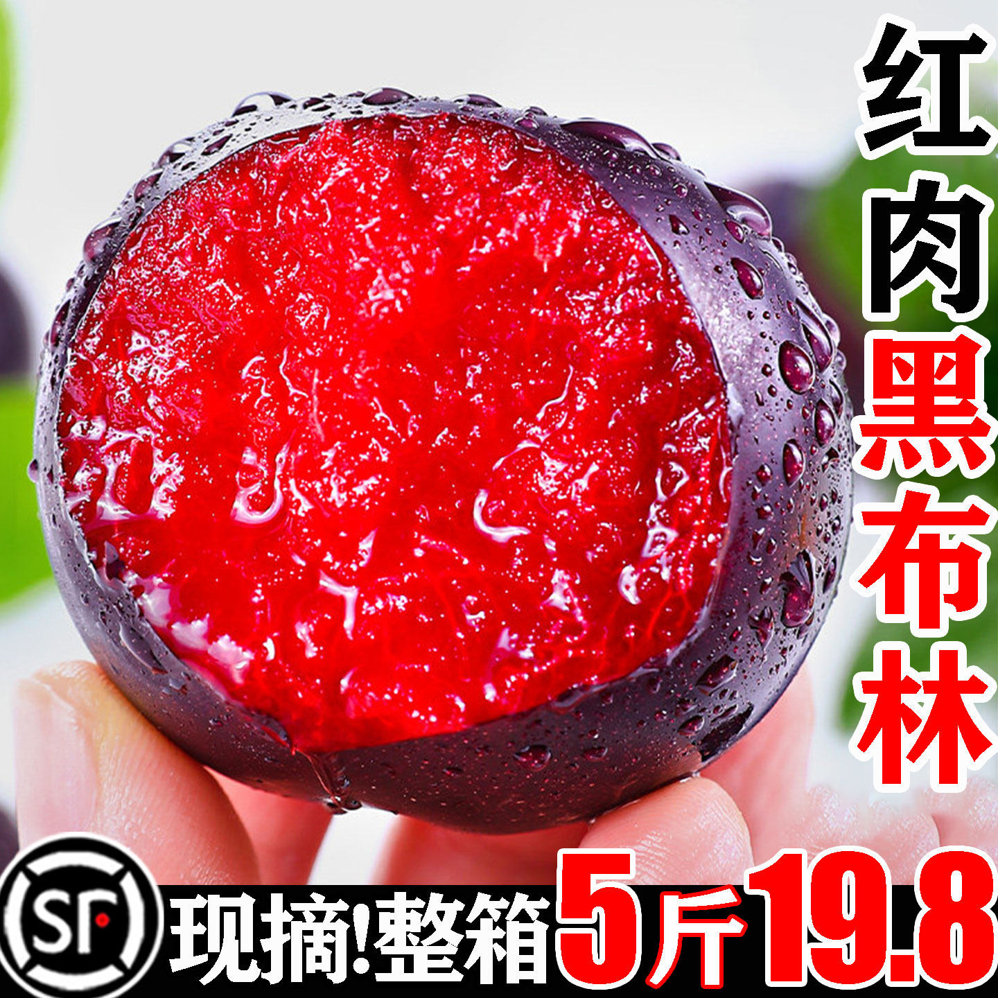 红肉黑布林大李子新鲜水果当季整箱玫瑰血丝李恐龙蛋雪李脱骨三华