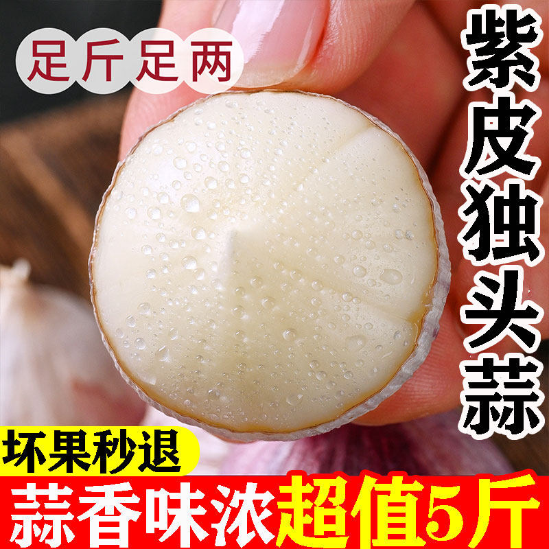 云南紫皮独头蒜干大蒜头新鲜5斤2026年农家自种山东批发现挖现发