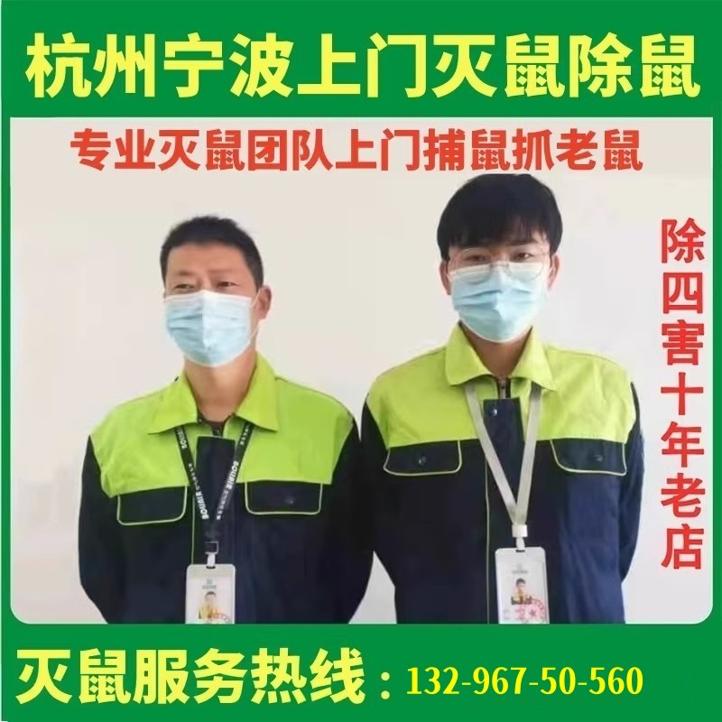 杭州上门灭鼠服务专业除鼠捕鼠神器消杀除四害家庭抓老鼠公司宁波