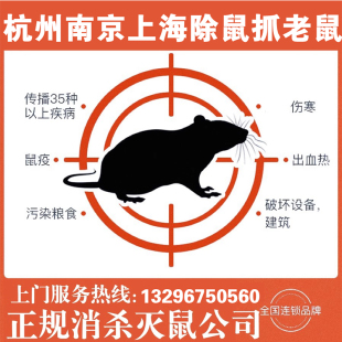上海南京杭州上门灭鼠服务除鼠公司消杀四害粘鼠板捕鼠笼夹抓老鼠