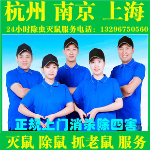 上海杭州上门灭鼠服务专业除鼠捕鼠神器消杀除四害家庭抓老鼠公司