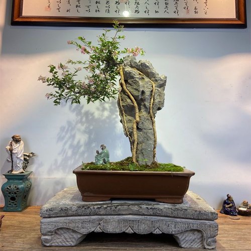 盆景抱石附树条形英德石造景摆件