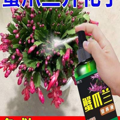 蟹爪免稀营养液叶面植物不兰开花黄叶一喷绿专用肥干瘪酸性{喷施