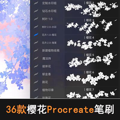 Procreate樱花笔刷花卉植物花朵ipad绘画线稿樱花笔刷画笔工具