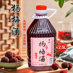 勇创杨梅酒微醺低度果酒桂花酒红枣枸杞米酒桑葚酒杨梅酒