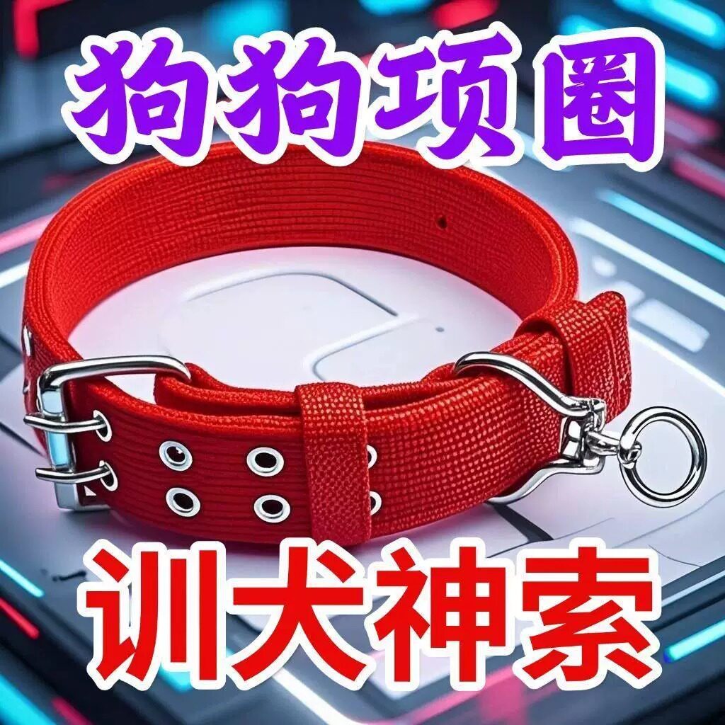 狗项圈中型犬脖套狗狗牵引绳大型犬小型犬遛狗绳狗圈可调节结实