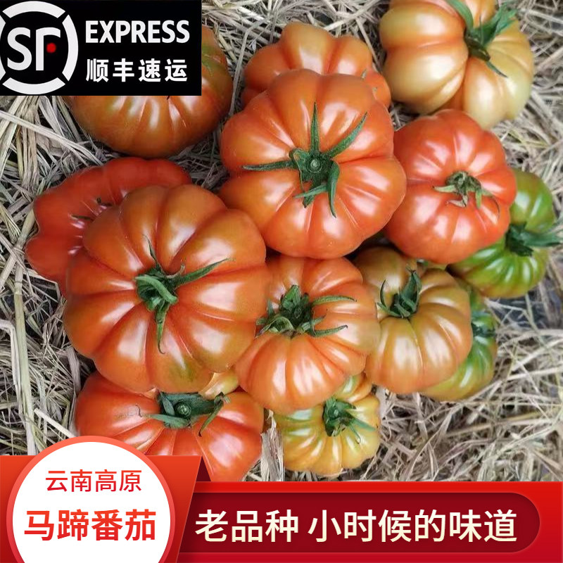 云南马蹄番茄新鲜大果生吃熟食
