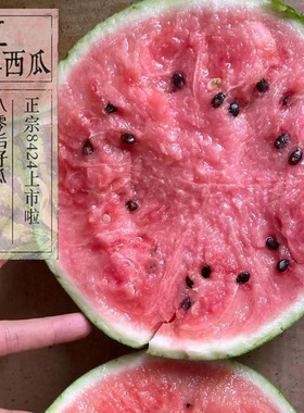 上海南汇正宗8424西瓜黑籽头茬原苗脆甜薄皮多汁新鲜水果麒麟瓜