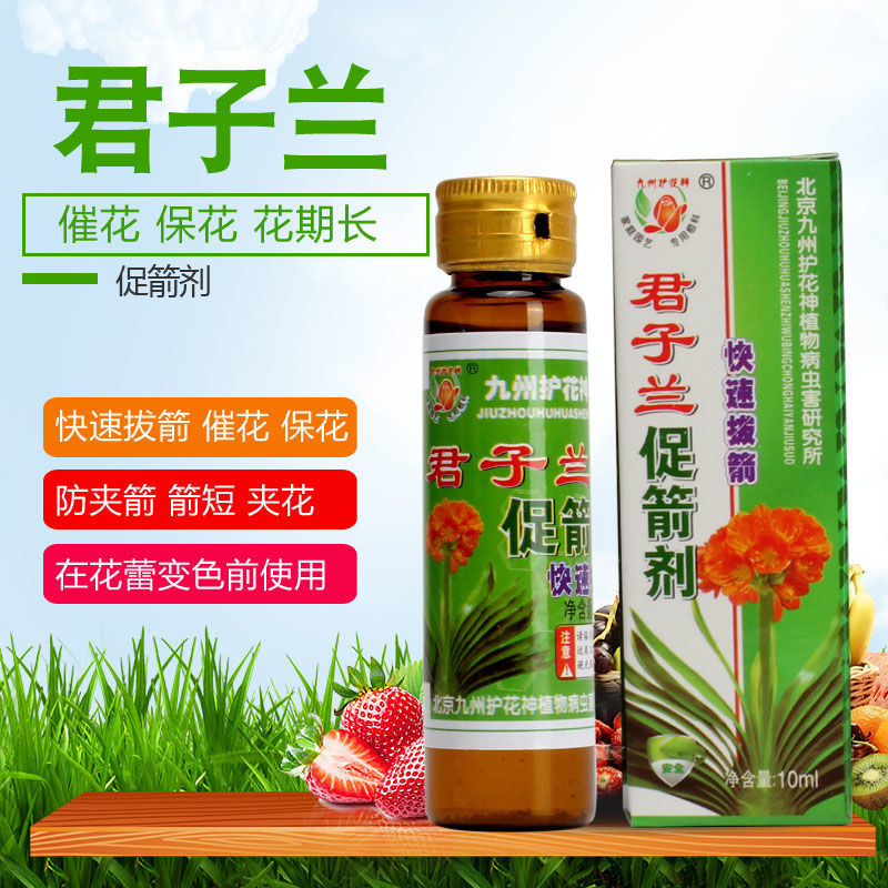 包邮九州护花神君子兰专用防夹箭液催箭素夹箭灵促箭剂抽箭剂肥料