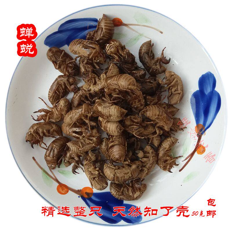 伏牛山自然褪壳无处理蝉蜕