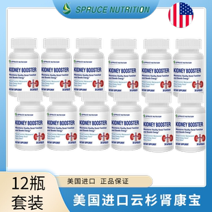 美国原装 康宝12瓶 进口云杉小分子肾康宝美国spruce云杉小分子肾元