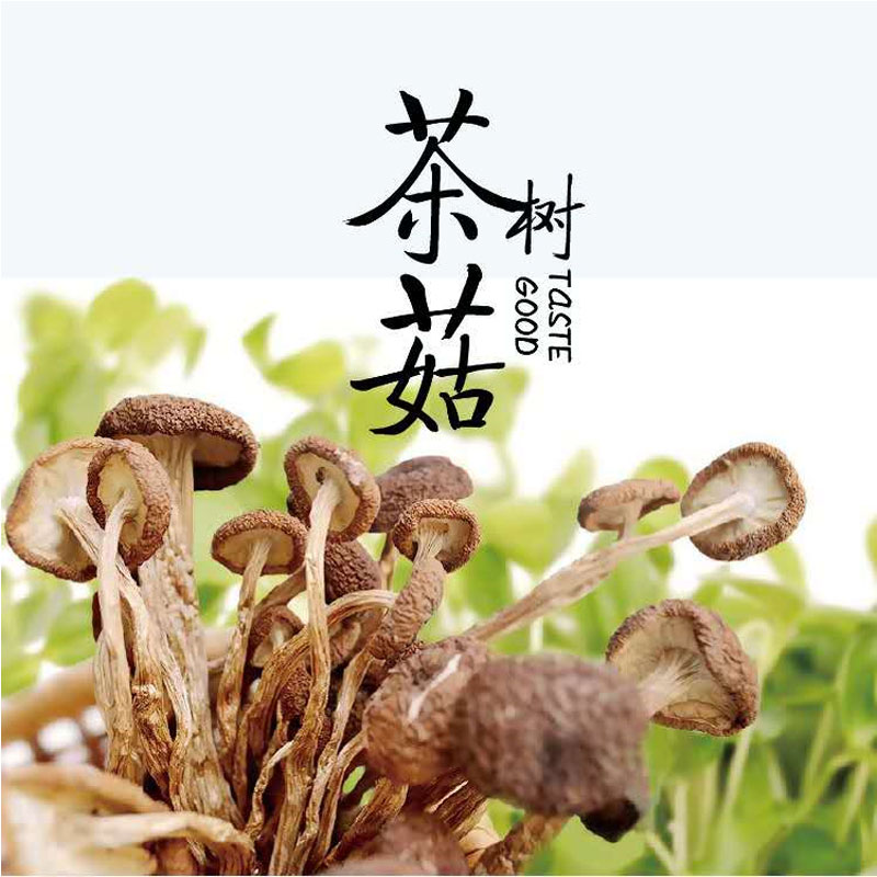 24年江西广昌特产干货菌类茶树菇