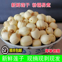 新鲜莲子鲜莲米现采纯手工去皮去芯生莲子煲汤粉糯易煮广昌鲜白莲