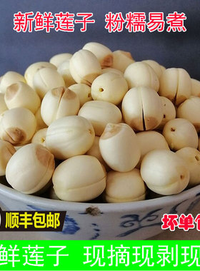 速冻鲜莲子鲜莲米纯手工去皮去芯冰冻鲜莲子煲汤粉糯易煮广昌白莲