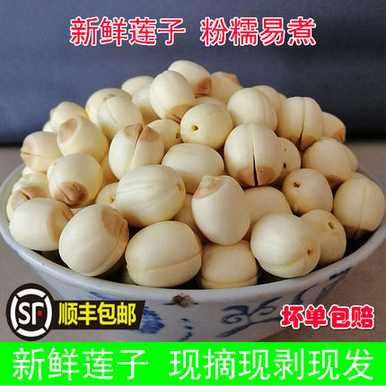 新鲜莲子鲜莲米现采纯手工去皮去芯生莲子煲汤粉糯易煮广昌鲜白莲