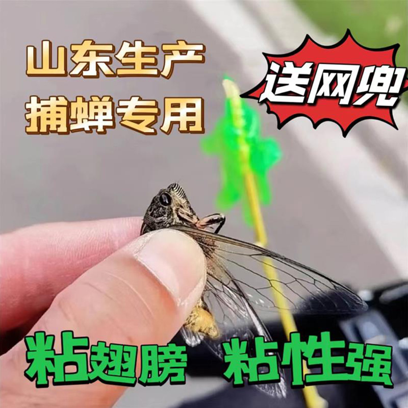 粘知了小绿手抓知了神器