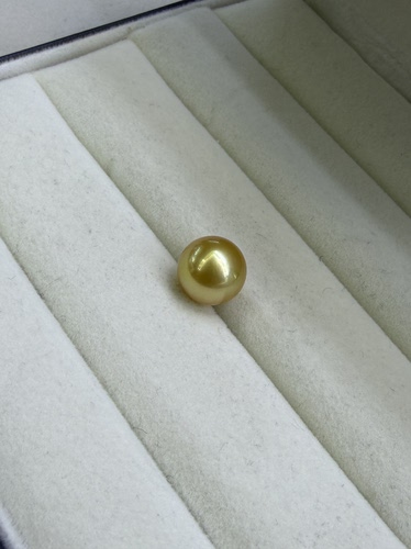 正圆浓茶金南洋金珠11.0mm单珠支持戒指吊坠天然海水金珍珠