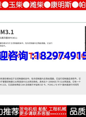 Deif PCM3.1丹控控制器处理器通讯模块