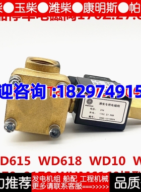 潍柴615 6170 8170 6160熄火停车电磁阀170Z.27.08船舶原厂配件