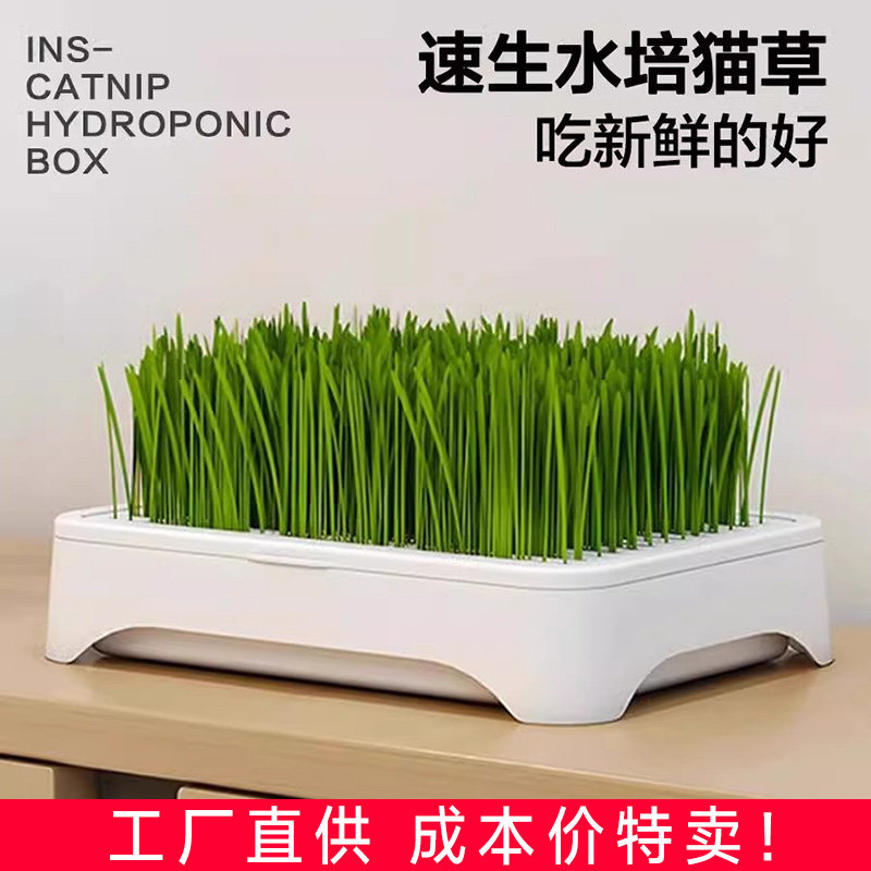 无土水培猫草盆栽去化毛球懒人种植猫草种子育苗盘化毛草宠物用品,宠物/宠物食品及用品,猫草/猫草片,淘宝优惠券,粉丝福利购,淘宝优惠卷