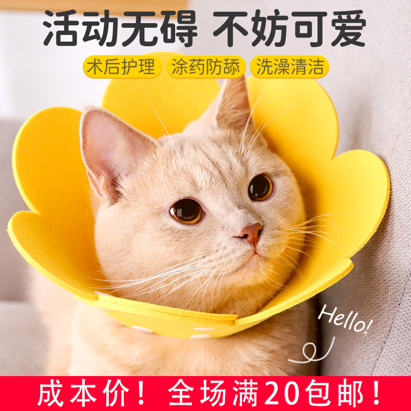 伊丽莎白圈猫猫绝育项圈猫咪头套防咬防舔围脖宠物