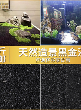 黑金沙垃圾桶烟灰缸黑色石英砂灭烟沙造景黑沙鱼缸沙底砂水草沙子