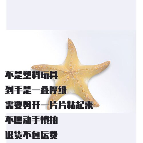 纸模型 DIY手工拼装 仿真海星 立体纸艺 创意装饰摆件