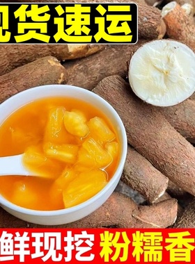 广西黄肉木薯当季新鲜现挖黄心面包木薯羹糖水店蛋黄板栗农家木薯