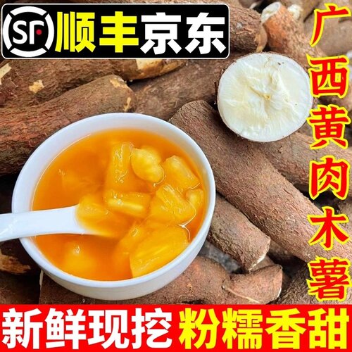 广西黄肉木薯当季新鲜现挖