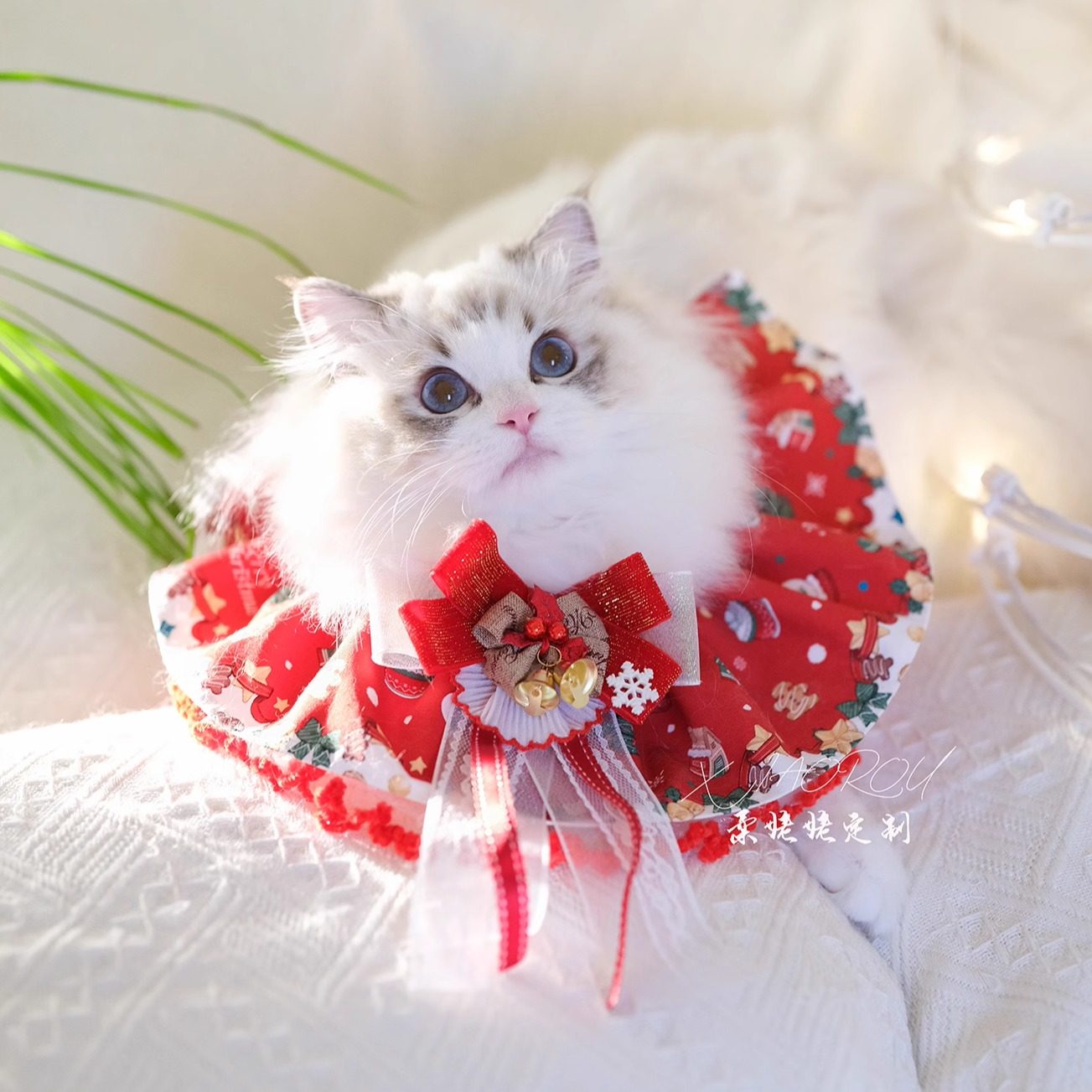 【圣诞花环】节日特定宠物口水巾围巾猫狗礼物拍照神器,宠物/宠物食品及用品,围巾/口水巾,淘宝优惠券,粉丝福利购,淘宝优惠卷