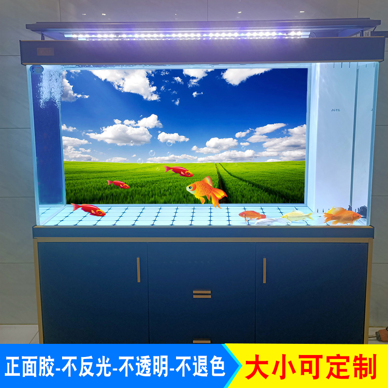 喜儿森正胶PVC龙鱼缸鱼缸背景