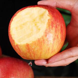 临猗苹果 运城苹果 小果 2025年新上市 24枚装 富士苹果