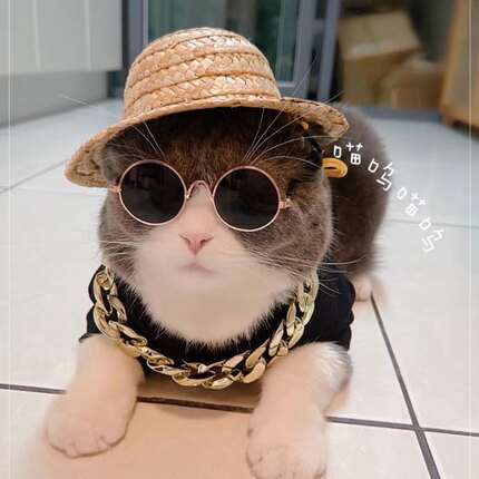 宠物狗狗项圈猫咪金链子银项链饰品法斗猫拍照巴哥泰迪犬恶霸
