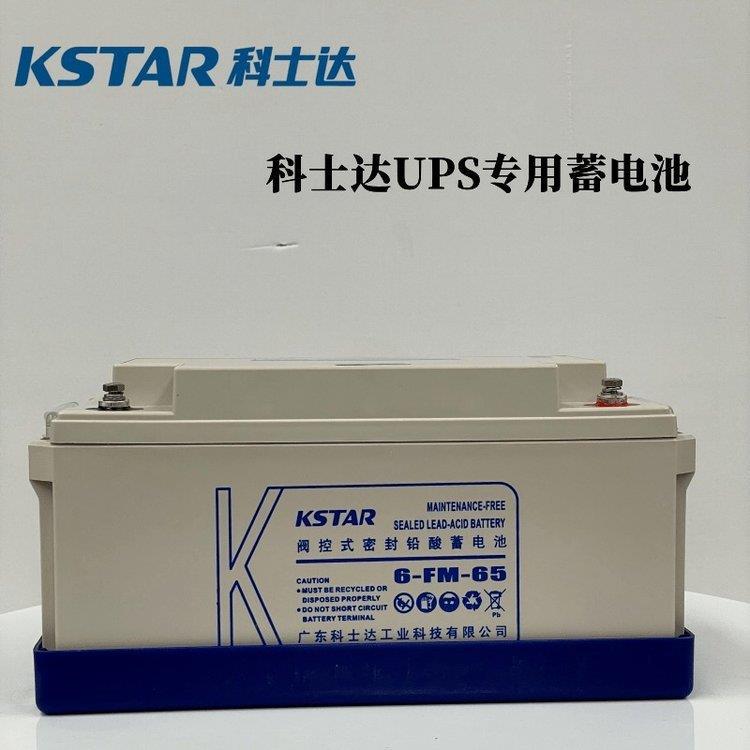 蓄电池6-FM-65铅酸免维护12V65AH通信机房UPS/EPS电源专用