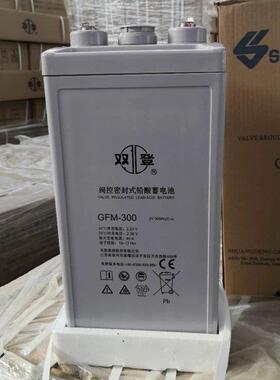 双登蓄电池GFM-300双登电池2V300AH通信基站/机房/UPS直流屏/照明